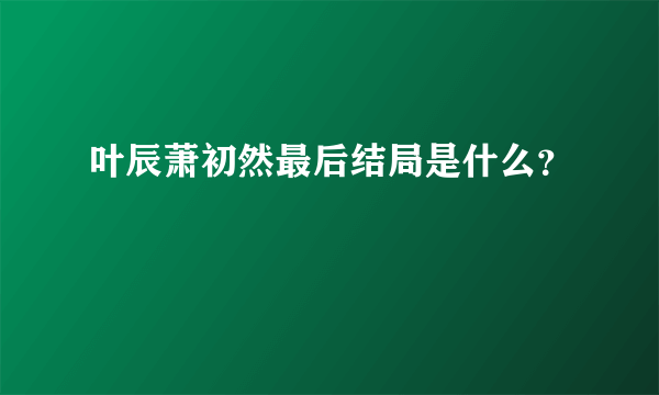 叶辰萧初然最后结局是什么？