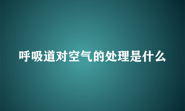 呼吸道对空气的处理是什么