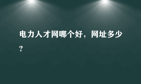 电力人才网哪个好，网址多少？