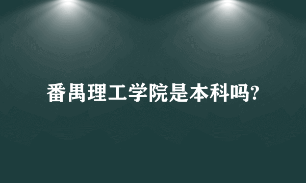 番禺理工学院是本科吗?