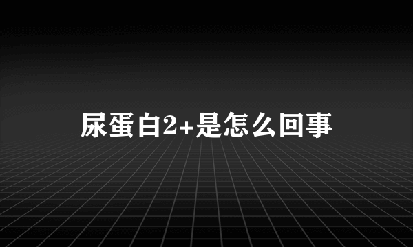 尿蛋白2+是怎么回事