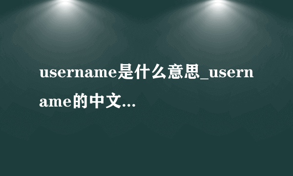 username是什么意思_username的中文意思是什么_双语例句