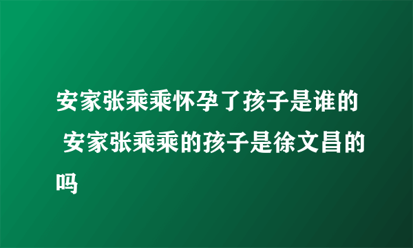 安家张乘乘怀孕了孩子是谁的 安家张乘乘的孩子是徐文昌的吗