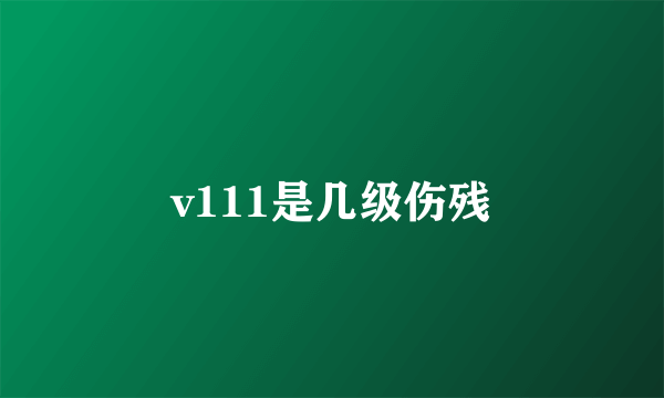 v111是几级伤残