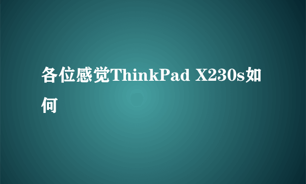 各位感觉ThinkPad X230s如何