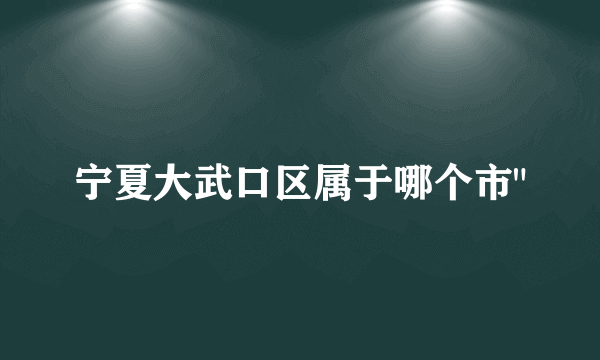 宁夏大武口区属于哪个市