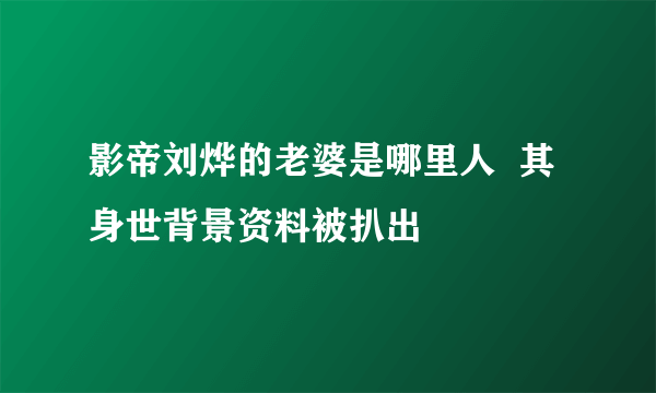 影帝刘烨的老婆是哪里人  其身世背景资料被扒出