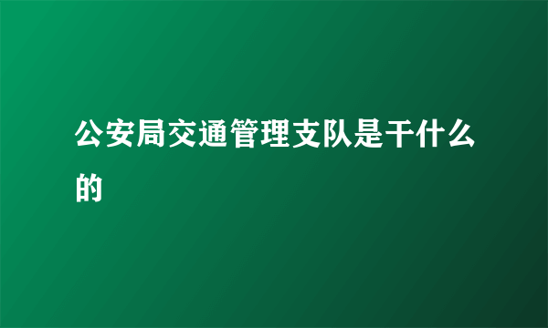 公安局交通管理支队是干什么的