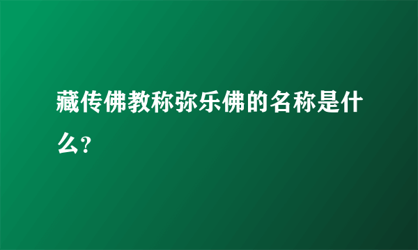 藏传佛教称弥乐佛的名称是什么？