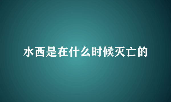 水西是在什么时候灭亡的