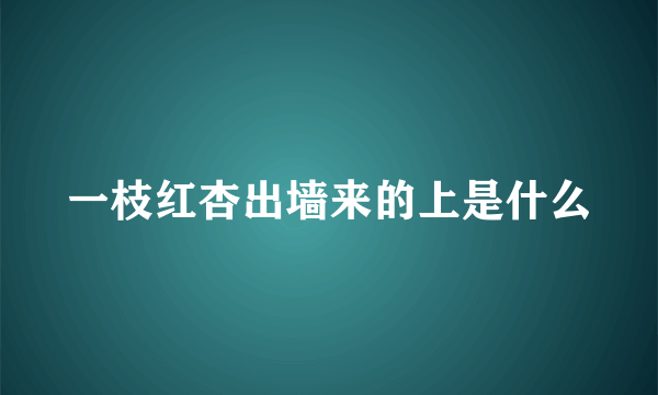 一枝红杏出墙来的上是什么