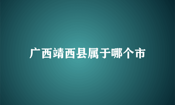 广西靖西县属于哪个市