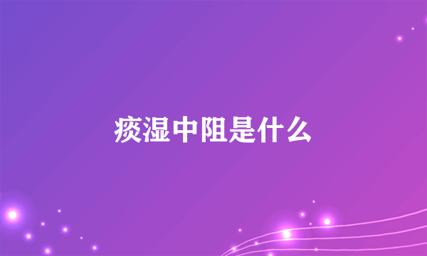 痰湿中阻是什么