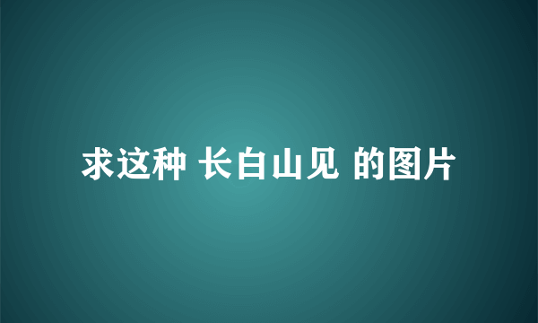 求这种 长白山见 的图片