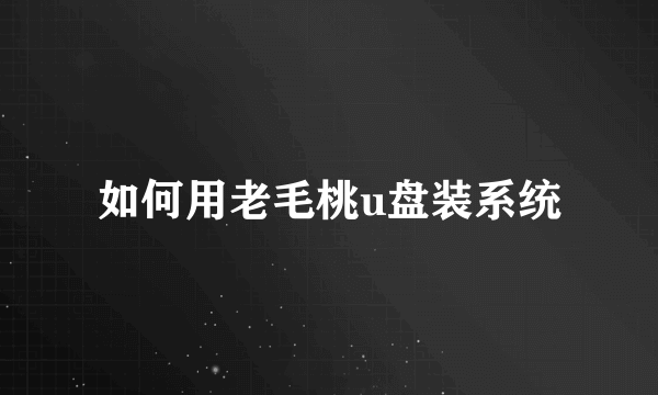 如何用老毛桃u盘装系统