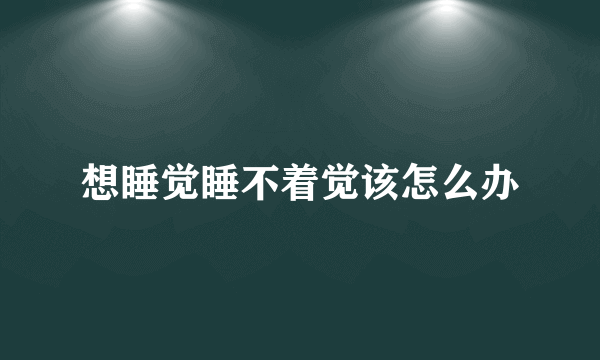 想睡觉睡不着觉该怎么办