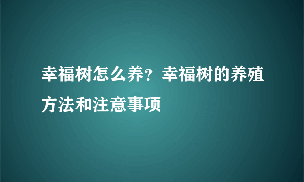 幸福树怎么养？幸福树的养殖方法和注意事项