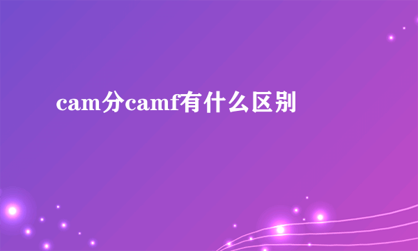 cam分camf有什么区别