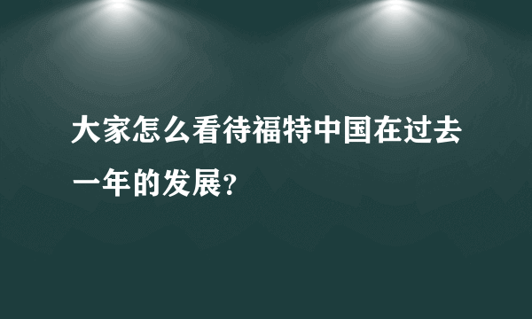 大家怎么看待福特中国在过去一年的发展？