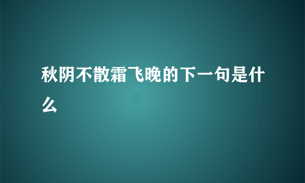 秋阴不散霜飞晚的下一句是什么