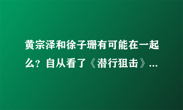 黄宗泽和徐子珊有可能在一起么？自从看了《潜行狙击》后、就被揪心的柏可恋迷住了。演得真好。