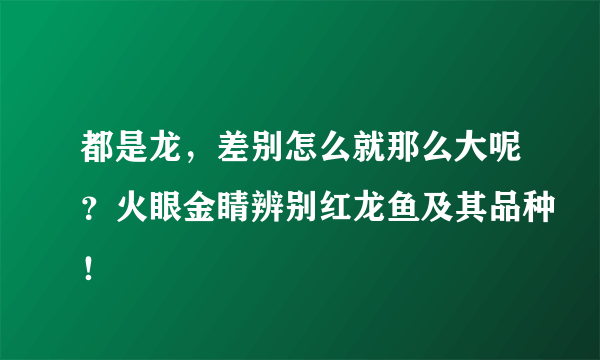 都是龙，差别怎么就那么大呢？火眼金睛辨别红龙鱼及其品种！