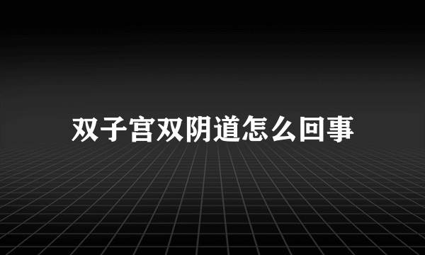 双子宫双阴道怎么回事