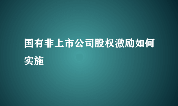 国有非上市公司股权激励如何实施