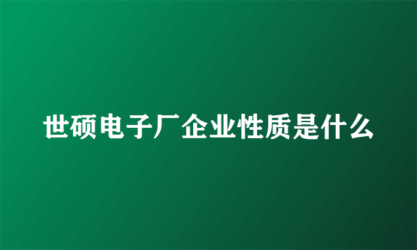 世硕电子厂企业性质是什么