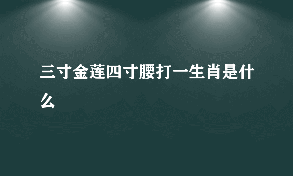 三寸金莲四寸腰打一生肖是什么