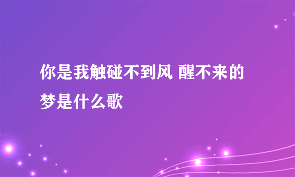 你是我触碰不到风 醒不来的梦是什么歌