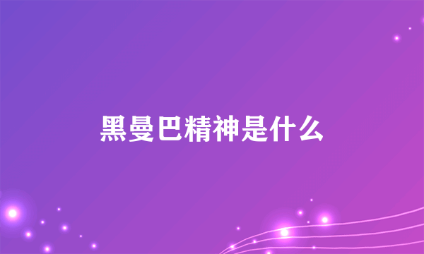 黑曼巴精神是什么