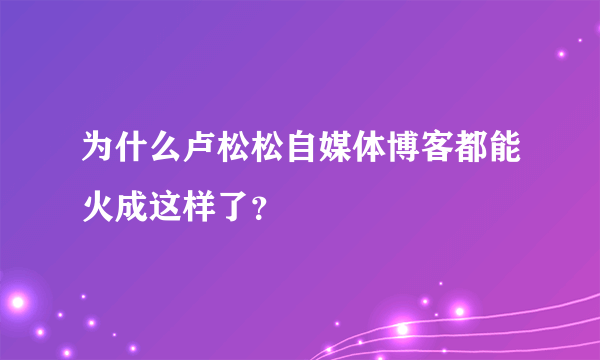 为什么卢松松自媒体博客都能火成这样了？