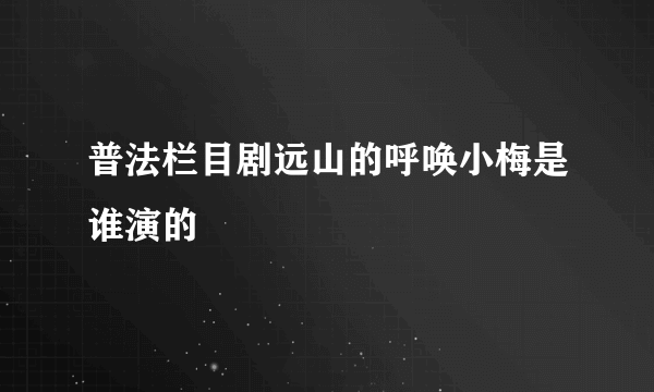 普法栏目剧远山的呼唤小梅是谁演的