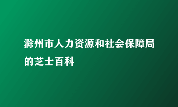 滁州市人力资源和社会保障局的芝士百科