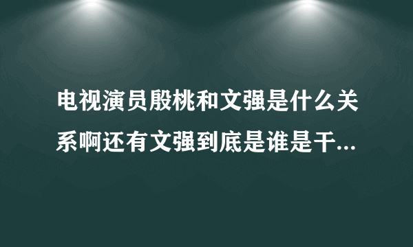 电视演员殷桃和文强是什么关系啊还有文强到底是谁是干什么的？