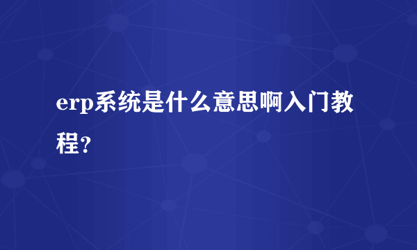 erp系统是什么意思啊入门教程？