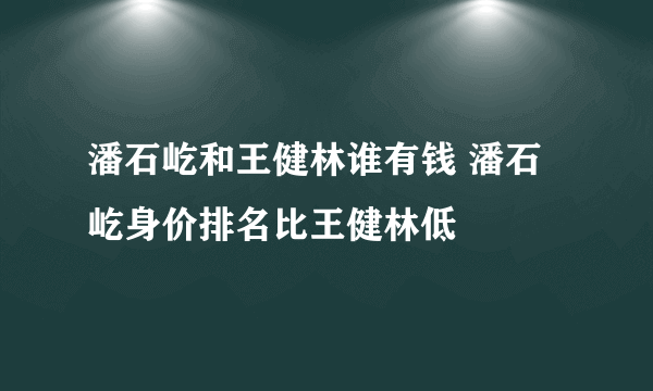 潘石屹和王健林谁有钱 潘石屹身价排名比王健林低