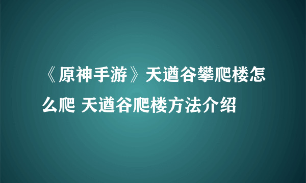 《原神手游》天遒谷攀爬楼怎么爬 天遒谷爬楼方法介绍