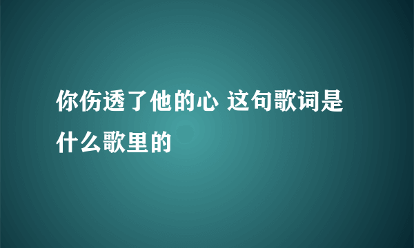 你伤透了他的心 这句歌词是什么歌里的