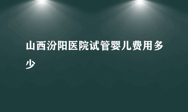 山西汾阳医院试管婴儿费用多少