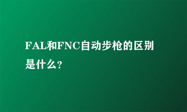 FAL和FNC自动步枪的区别是什么？