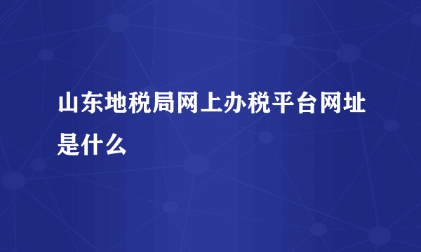 山东地税局网上办税平台网址是什么