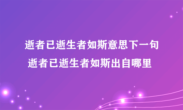 逝者已逝生者如斯意思下一句 逝者已逝生者如斯出自哪里