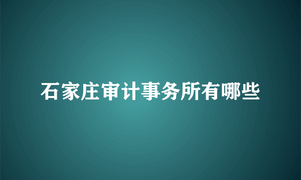 石家庄审计事务所有哪些