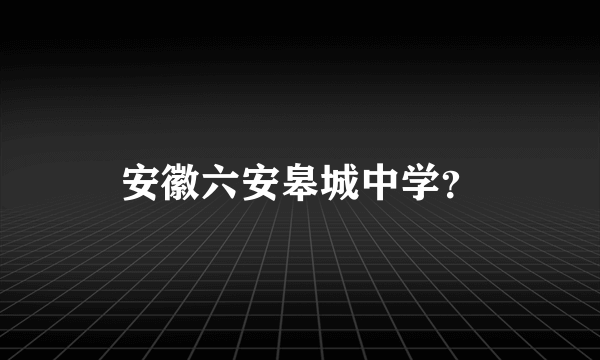 安徽六安皋城中学？