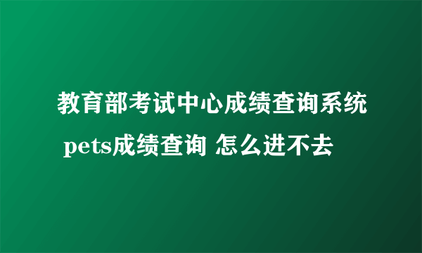 教育部考试中心成绩查询系统 pets成绩查询 怎么进不去