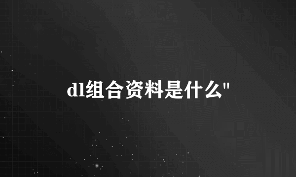 dl组合资料是什么