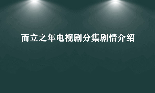 而立之年电视剧分集剧情介绍