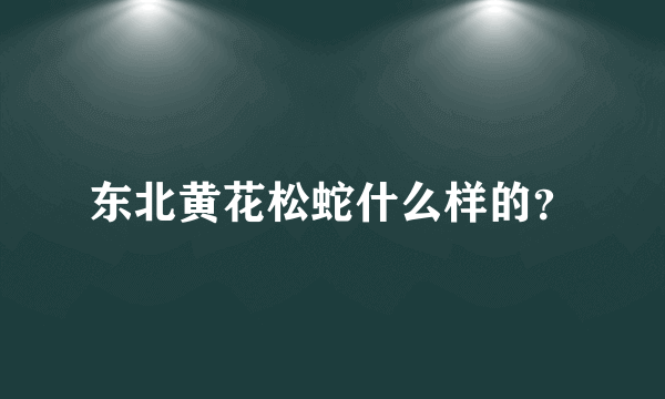 东北黄花松蛇什么样的？